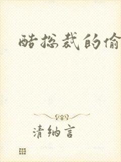 酷总裁的偷孕妻