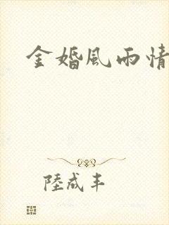 金婚风雨情下载