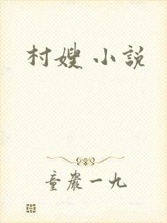 村嫂 小说