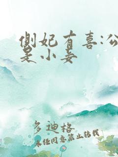 侧妃有喜:公主是小妾