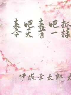 来吧来吧抓紧点今天有一样好东西