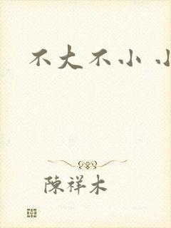 不大不小 小说