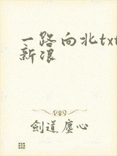 一路向北txt新浪