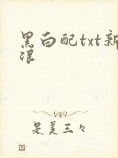 黑白配txt新浪