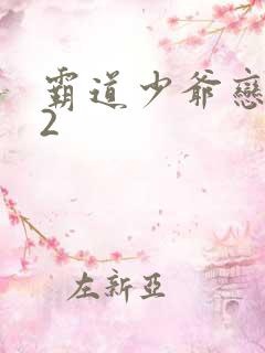 霸道少爷恋上我2