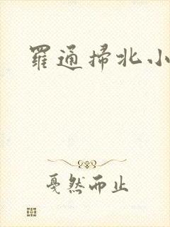 罗通扫北小说