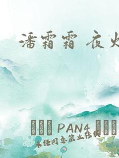 潘霜霜 夜火