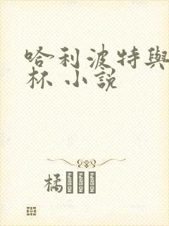 哈利波特与火焰杯 小说