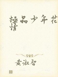 极品少年花都燃情