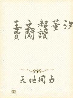 王文超董汐瑜免费阅读