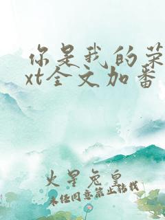 你是我的荣耀txt全文加番外