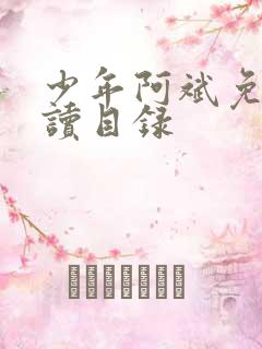 少年阿斌免费阅读目录