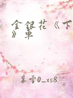 金银花《下厨房》车