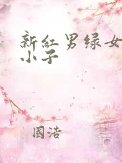 新红男绿女之坏小子