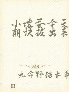 小坏蛋今天危险期快拔出来