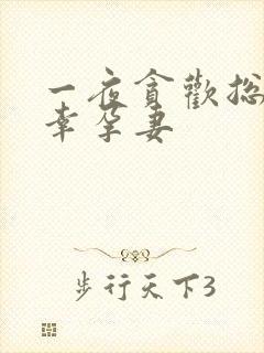 一夜贪欢总裁的幸孕妻