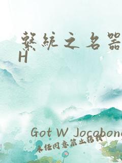 系统之名器勾男H