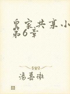 皇家共享小公主第6章