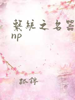 系统之名器攻略np