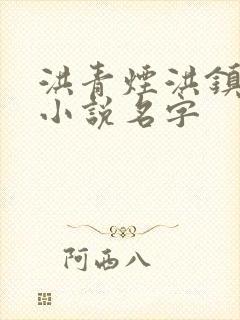 洪青烟洪镇国的小说名字