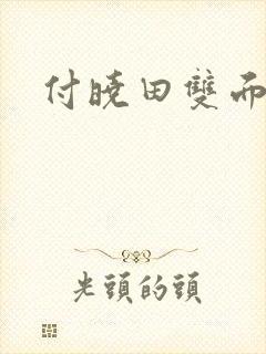 付晓田双面间谍