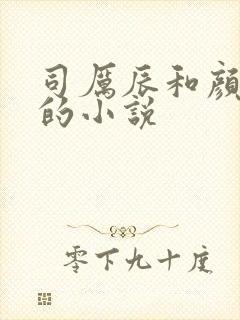 司厉辰和颜辞兮的小说