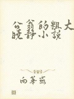 公翁的粗大放进晓静小说