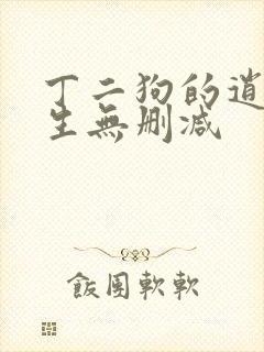 丁二狗的逍遥人生无删减