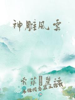 神雕风云