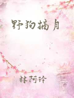 野狗摘月
