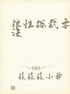 狼性总裁要够了没