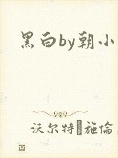 黑白by朝小诚