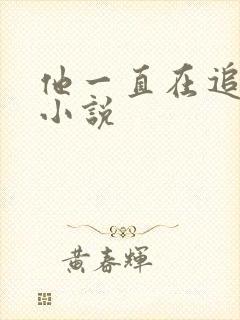 他一直在追初恋小说