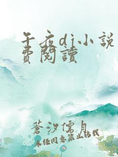 午夜dj小说免费阅读