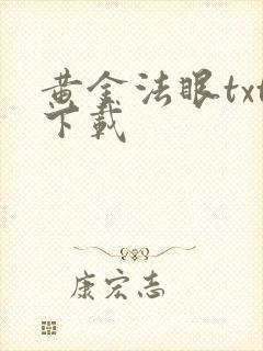 黄金法眼txt下载