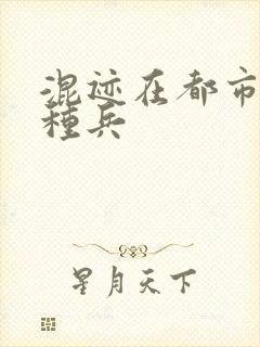 混迹在都市的特种兵