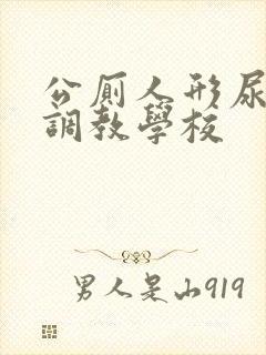 公厕人形尿便器调教学校