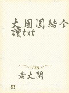 大团圆结全文阅读txt