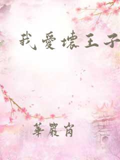 我爱坏王子