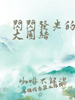 闪闪发光的小说大团结