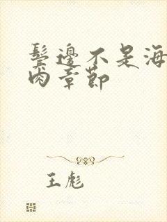 鬓边不是海棠红肉章节