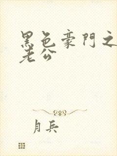 黑色豪门之王子老公