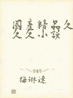 国产精品久久久久久小说