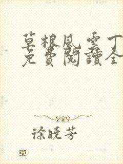 草根风云丁长生免费阅读全本