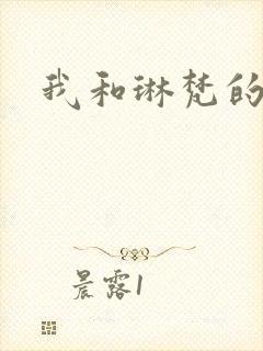 我和琳梵的故事