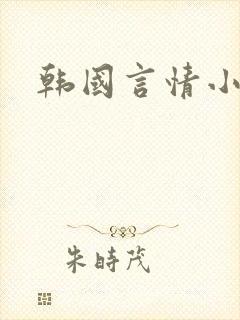 韩国言情小说
