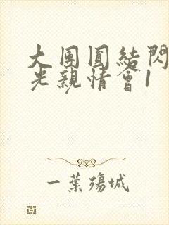 大团圆结闪闪发光亲情会1