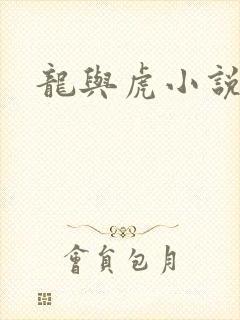 龙与虎小说