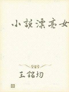 小说漂亮女局长