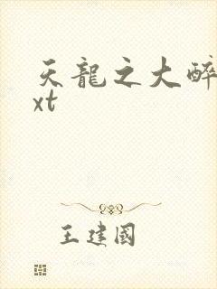 天龙之大醉侠txt